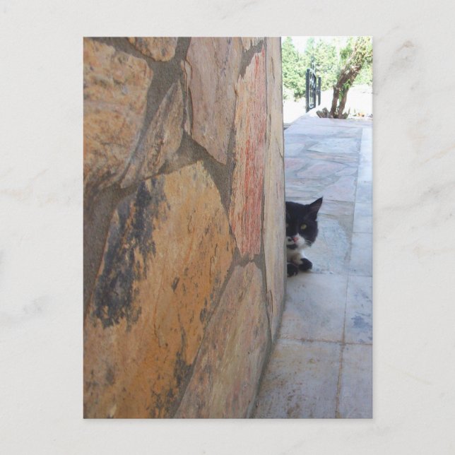 Carte Postale DETECTIVE CAT BEHIND THE STONE WALL / Father's Day (Devant)