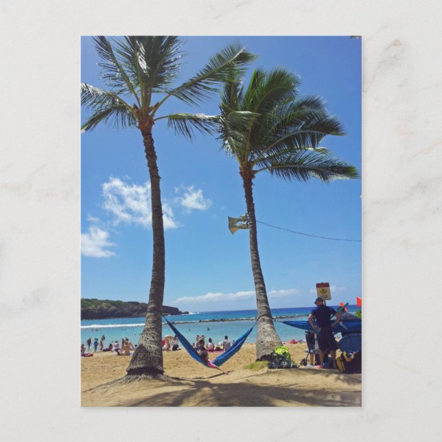 Carte Postale Détente sur une plage d'Hawaï (Devant)