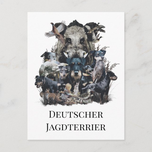 Carte Postale Deutscher Jagdterrier (Devant)