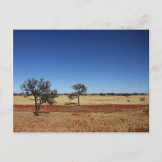 Carte Postale Deux arbres