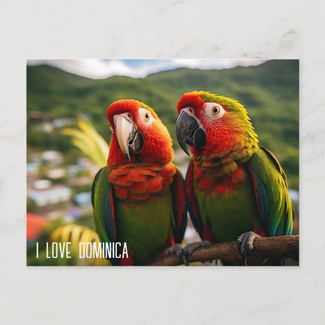 CARTE POSTALE DEUX BEAUX PARROTS DE DOMINICA (Devant)