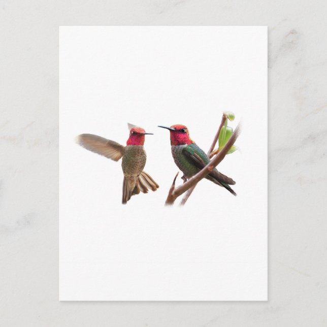 CARTE POSTALE DEUX BIJOUX DE VOL (Devant)