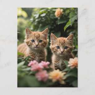 Carte Postale Deux Chatons À Gingembre À La Découverte D'Un Jard