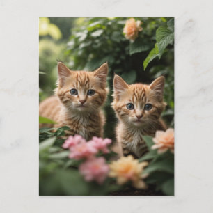 Carte Postale Deux Chatons À Gingembre À La Découverte D'Un Jard