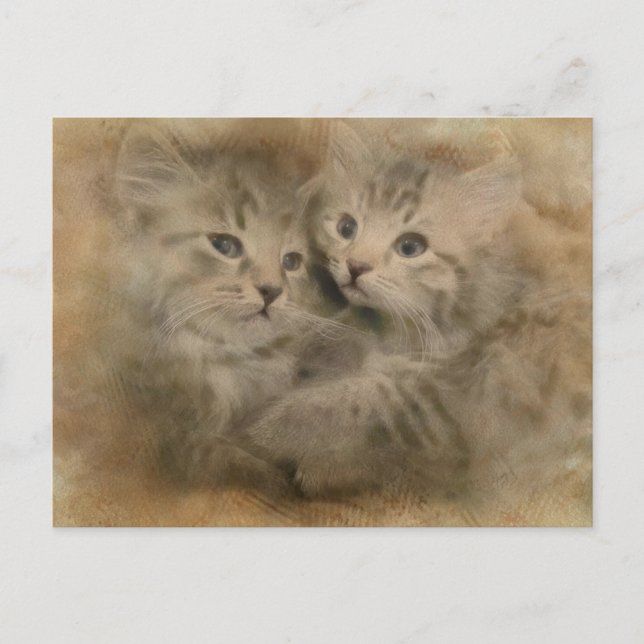 Carte Postale Deux Chatons Gris Cute En Aquarelle (Devant)