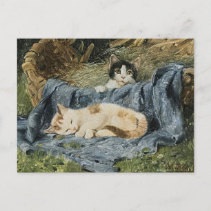 Carte Postale Deux chatons Julius Adam le Jeune