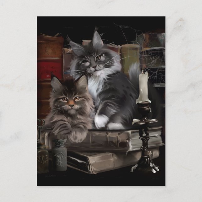 Carte Postale Deux chatons Maine Coon en furie (Devant)