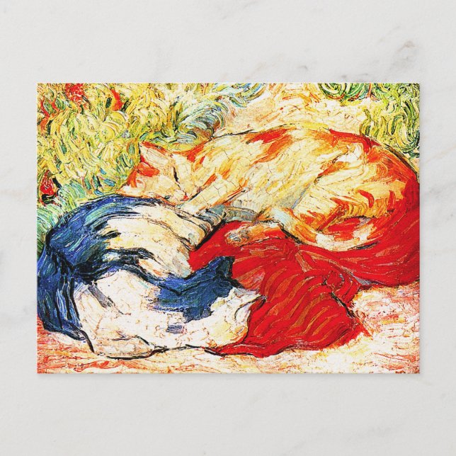 Carte postale : Deux chats (Devant)