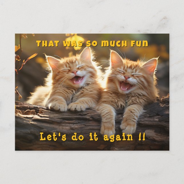 Carte Postale Deux chats blancs et orange hilares  (Devant)