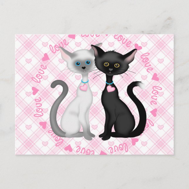 Carte Postale Deux chats mignons en amour (Devant)
