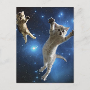 Carte Postale Deux Chats Spatiaux Flottant Autour De La Galaxie