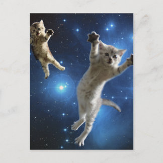 Carte Postale Deux Chats Spatiaux Flottant Autour De La Galaxie