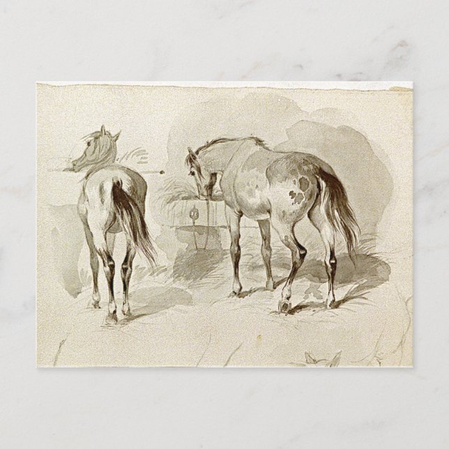 Carte Postale Deux chevaux au Manger (Devant)