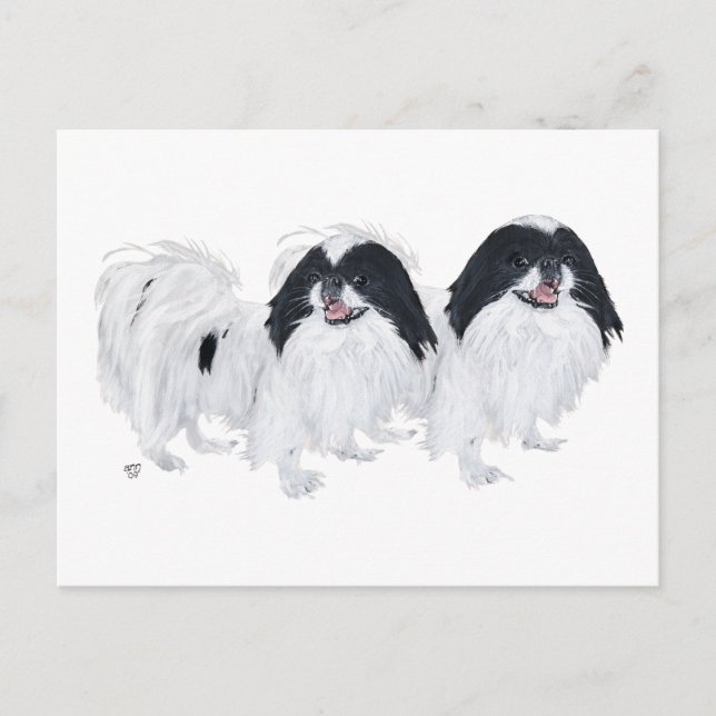 Carte Postale Deux chiens japonais Chin (Devant)