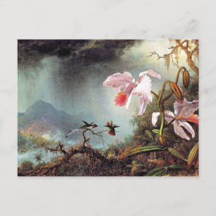 Carte Postale Deux colibris de combat, célèbre peinture