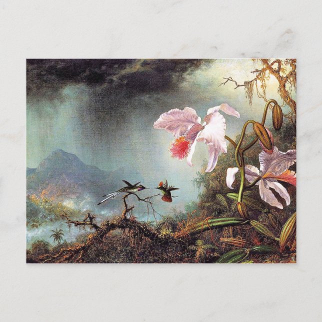 Carte Postale Deux colibris de combat, célèbre peinture (Devant)