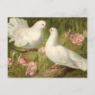 Carte Postale Deux colombes de Pâques et roses roses vintage