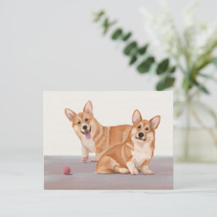 Carte Postale Deux Corgis mignons
