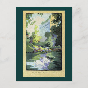 Carte Postale Deux cygnes à Central Park Lake