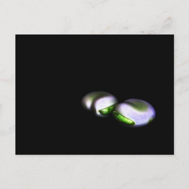 Carte Postale Deux gros haricots pca (Devant)