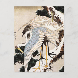 Carte Postale Deux grues sur un pin recouvert de neige, Hiroshig