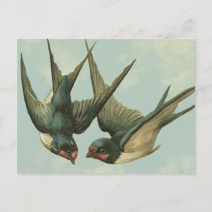 Cartes De Vœux Hirondelle Zazzle Fr