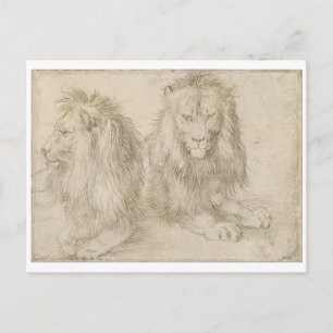 Carte Postale Deux lions assis par Albrecht Durer