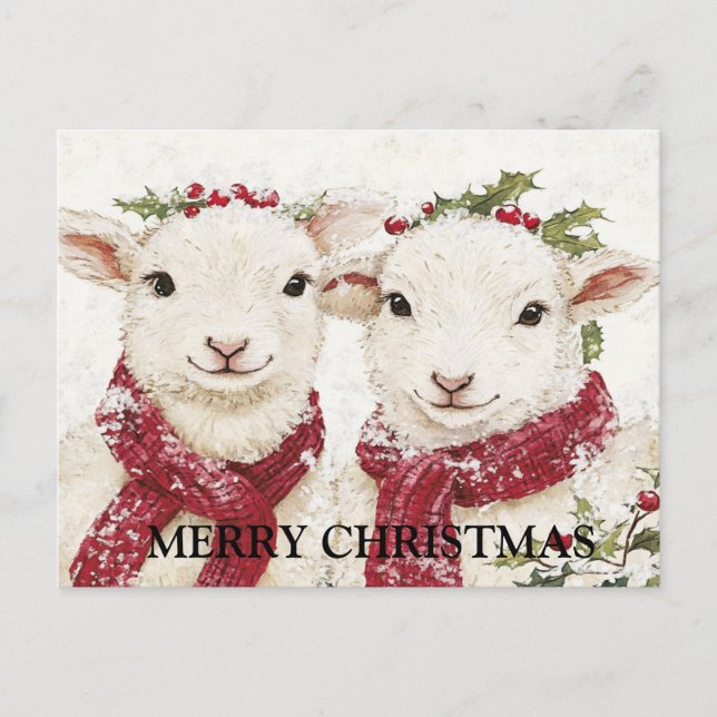 Carte Postale Deux mignons moutons (Devant)
