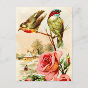 Carte Postale Deux oiseaux et Roses