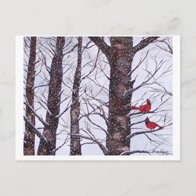 Carte Postale deux oiseaux rouges en hiver, Copyright 2005 (Devant)