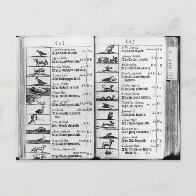 Carte Postale Deux pages de 'Orbis Sensualium Pictus' (Devant)