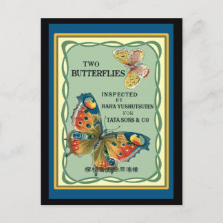 Carte Postale Deux papillons