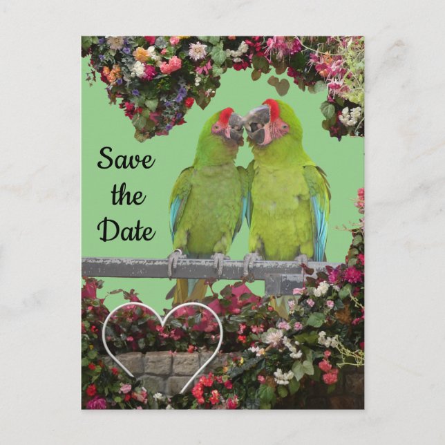 Carte Postale Deux Perroquets Vertes Poussent. Enregistrer la ca (Devant)