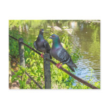 Deux pigeons. Lac Roath Park, Cardiff, Pays de Gal