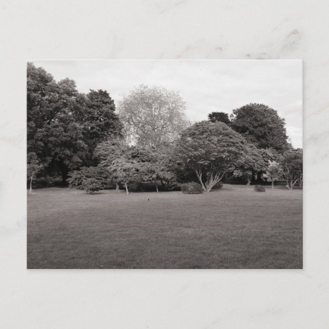 Carte Postale Deux pour Joy (Noir et Blanc Toné Chaud) (Devant)