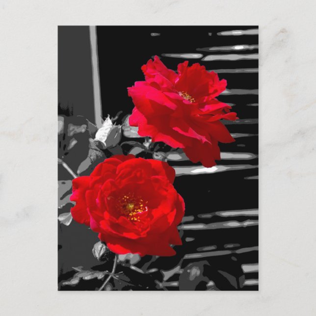 CARTE POSTALE DEUX ROSES ROUGES (Devant)