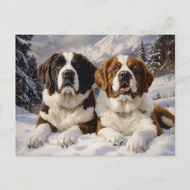 Carte Postale Deux Saint Bernards en neige (Devant)