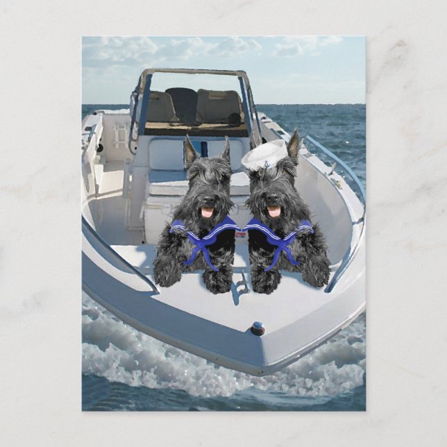 Carte Postale Deux Scotties à bord du bateau (Devant)