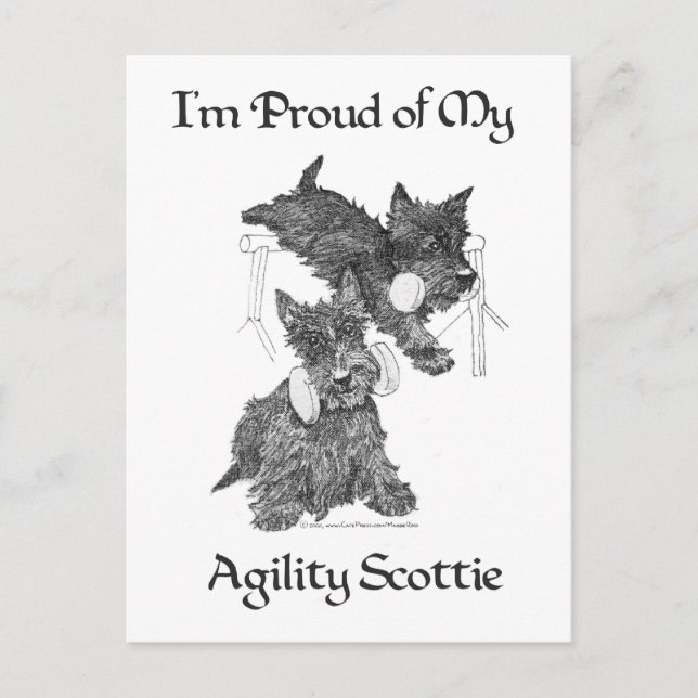 Carte Postale Deux Scottish Terriers Agilité (Devant)