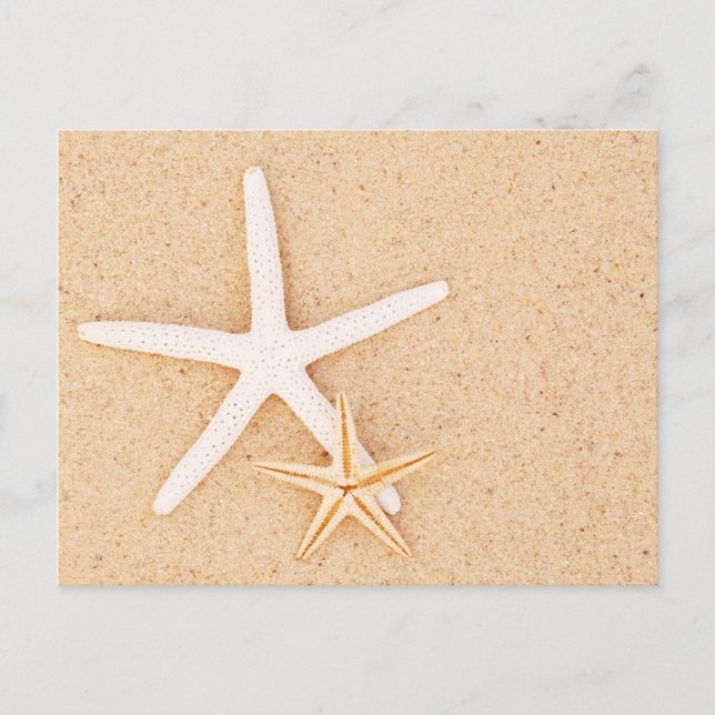 Carte Postale Deux Starfish sur une plage (Devant)