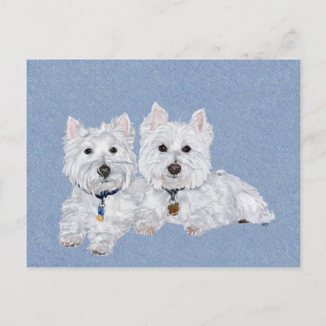 Carte Postale Deux Westies (Devant)