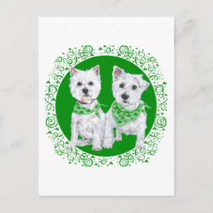 Carte Postale Deux Westies assis à la Saint-Patrick