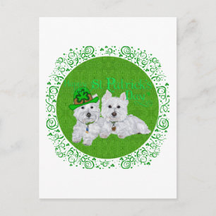 Carte Postale Deux Westies au repos pour la Saint-Patrick