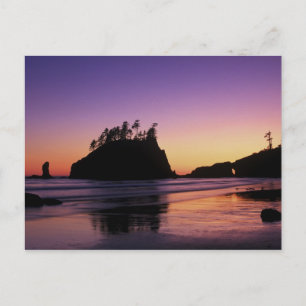 Carte Postale Deuxième plage au crépuscule, Olympic NP, WA, État