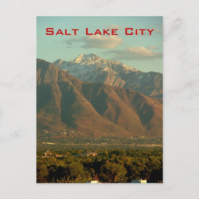 Carte Postale Devant de la guêpe (Devant)