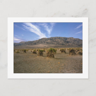 Carte Postale "Devils Cornfield"