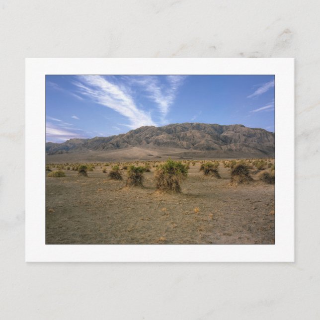 Carte Postale "Devils Cornfield" (Devant)