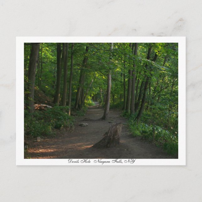 Carte Postale Devils    HoleNiagara Falls, NY (Devant)