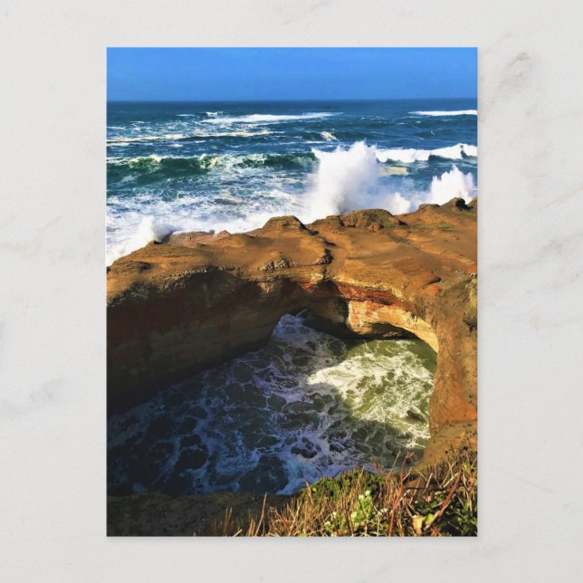 Carte Postale Devil's Punchbowl, Newport, Oregon (Devant)