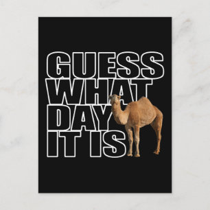 Carte Postale Devinez Quel Jour C'Est Hump Day Camel